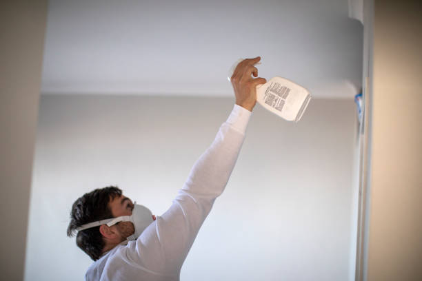 Best Mold Removal Near Me  in Easley, SC